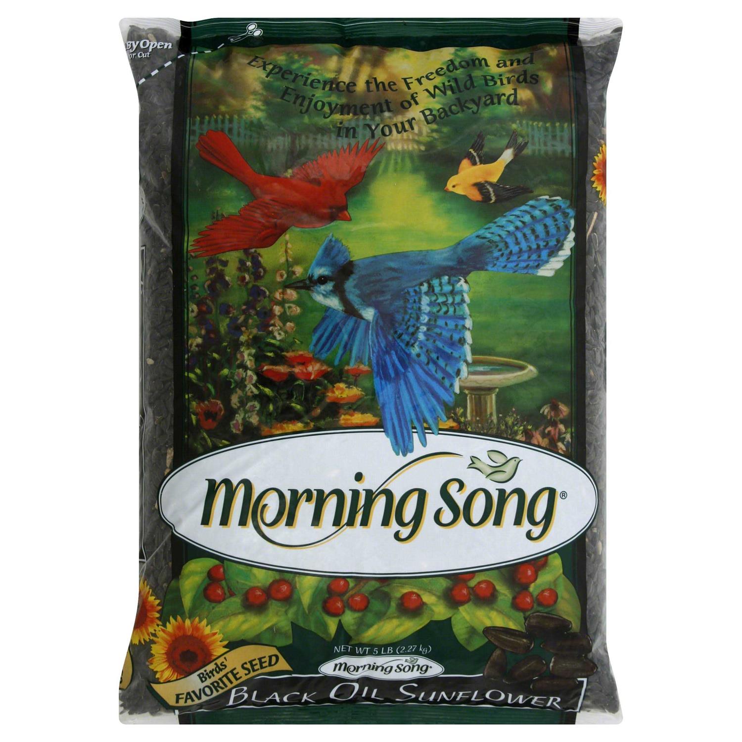 Morning Song Black Oil Sunflower Wild Bird Food Pet Supplies Online Sale