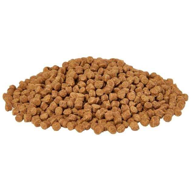 Omega One Medium Sinking Goldfish Pellets - Pet Supplies online sale