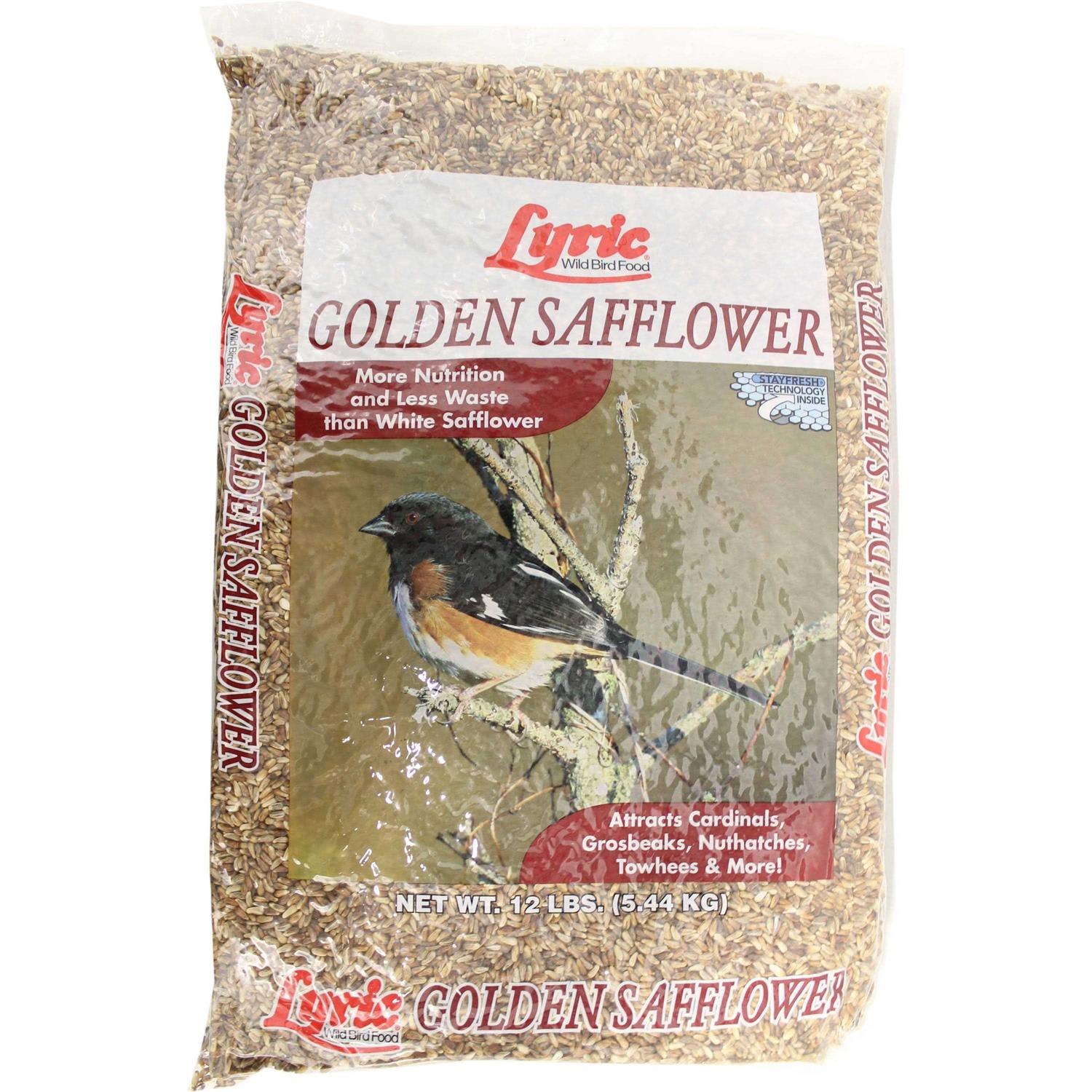 Lyric Golden Safflower Seed Wild Bird Food - Pet Supplies online sale