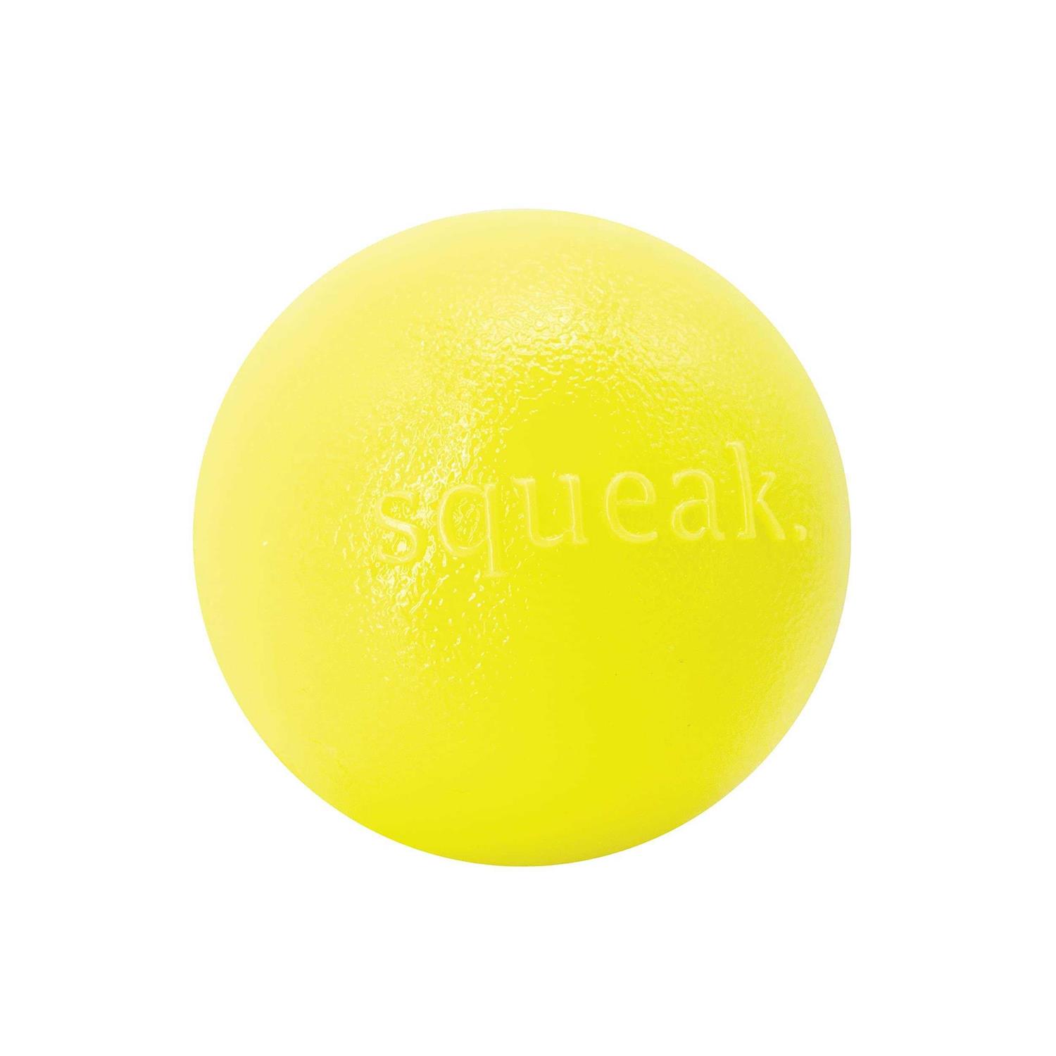 Planet Dog Orbee-Tuff Squeak Toy Ball - Pet Supplies online sale