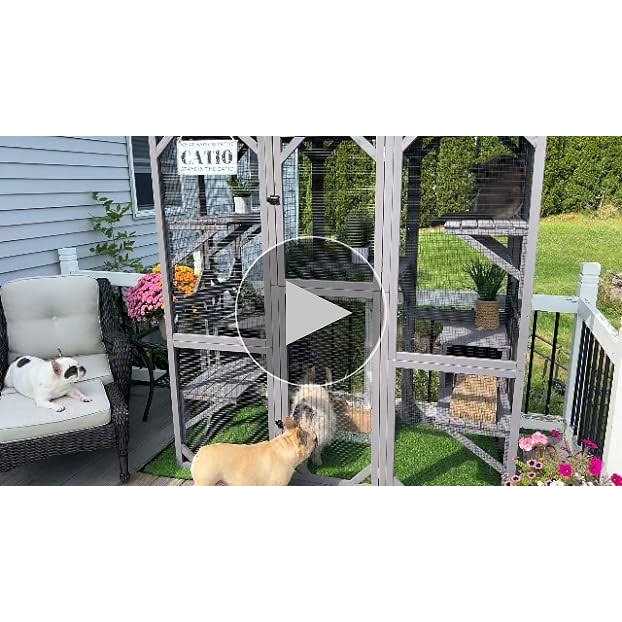 Gutinneen Catio Large Cat House Outdoor Walk in Outdoor Cat Enclosure ...